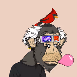 Grandpa Ape #2964