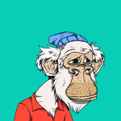 Grandpa Ape #2516