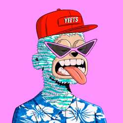 yEEts #5026