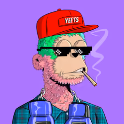 yEEts #2517