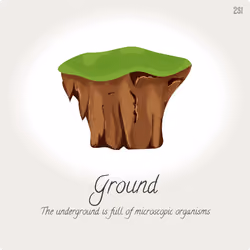 Ground - #231