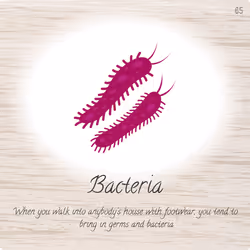 Bacteria - #65