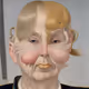 22445