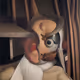 24347