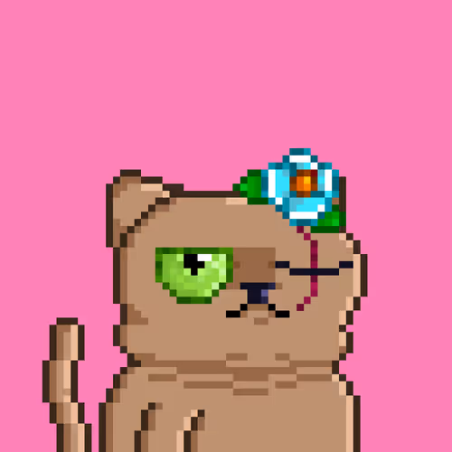 Undercats Official