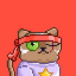 Undercats #1433