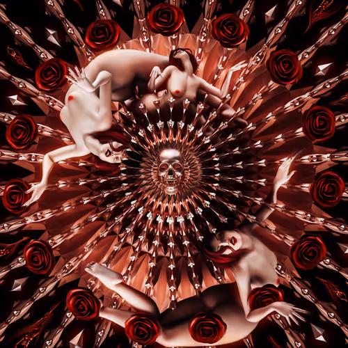 Where the Wild Roses grow