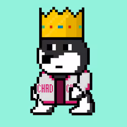 Akimo Inu #1008