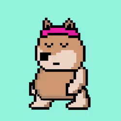 Akimo Inu #1643