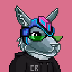 CyberRoo #63