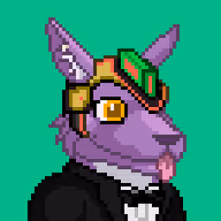 CyberRoo #242