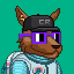 CyberRoo #244