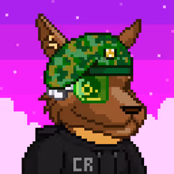 CyberRoo #64