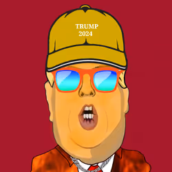 TRUMP MEGA COLLECTION1629