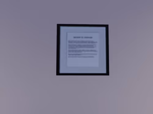 Item #45 Media