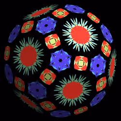 mandalahedra #267