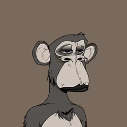  #446