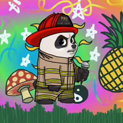 Panda Fight Club #972