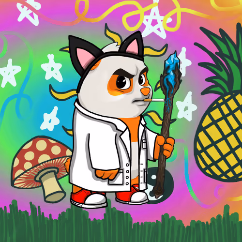 Panda Fight Club #65