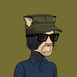 X PANTHER #285
