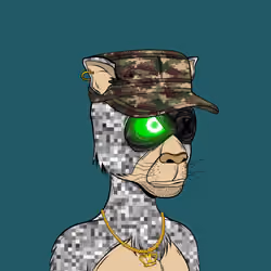 X PANTHER #1581