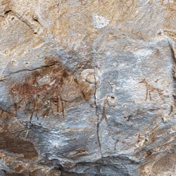 2381976568446569244243622252022377480196