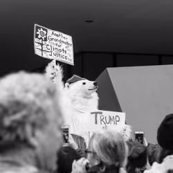 These Americans - These Americans #35