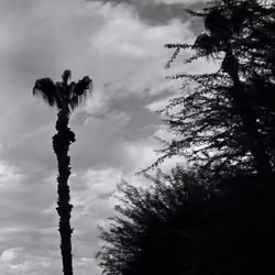 LA Love Letter - LA Love Letter 311