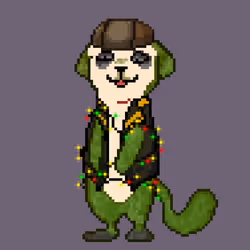 Happy Meerkat #49