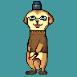Happy Meerkat #15