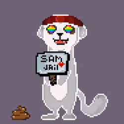 Happy Meerkat #14