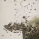 Weightless nature