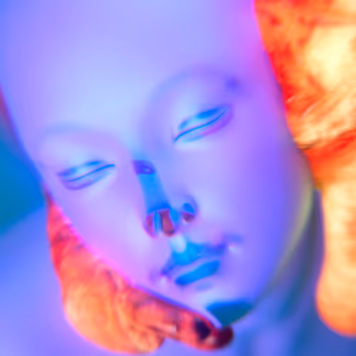 Experience 003 Renderfruit
