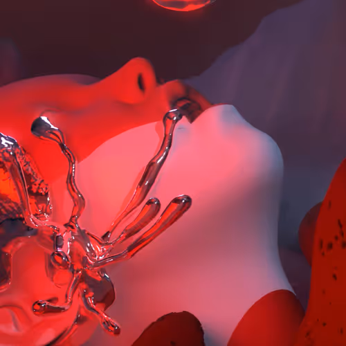 Experience 003 Renderfruit