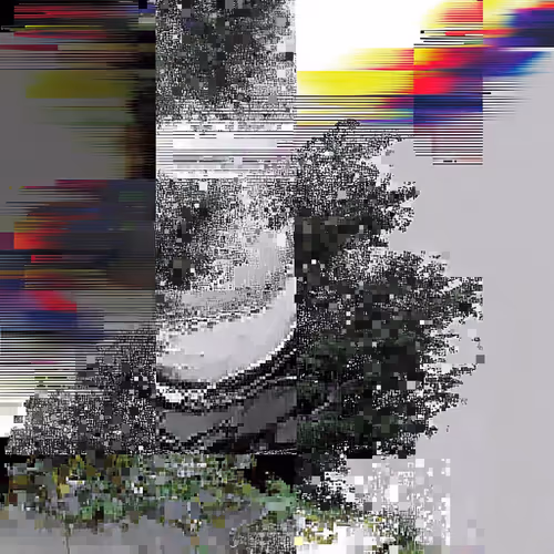 Post-Nature: Synthetic Field