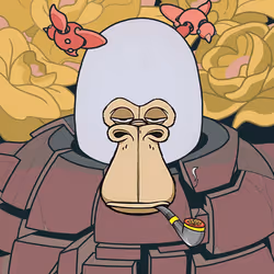 1428