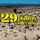 32