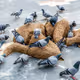 Conceptual Art Shots