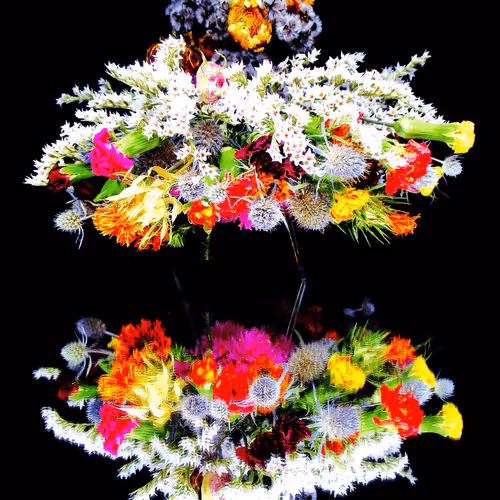 braincellsinapetridishLE