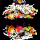 braincellsinapetridishLE