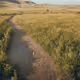 4007925864