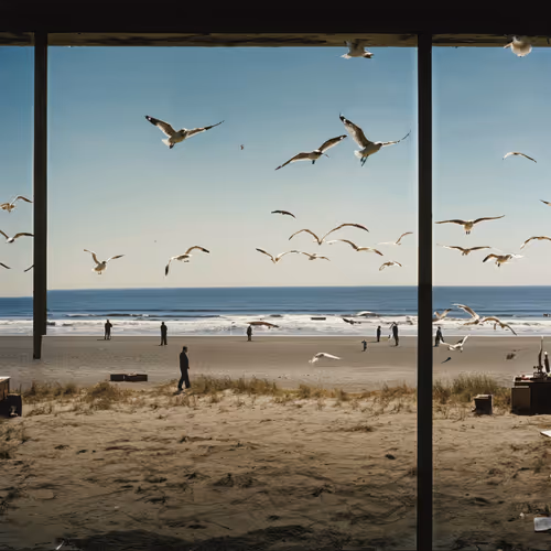 Vacation By Roope Rainisto