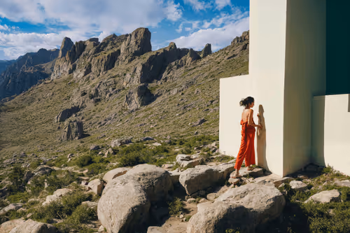 Item #2911745885 Media