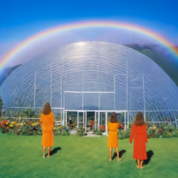 The Garden Of Eden