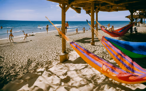 Item #447463810 Media