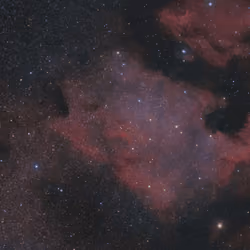 STAR #18