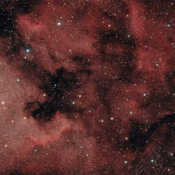 STAR #46