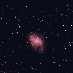 STAR #143