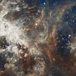 STAR #226
