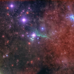 STAR #236